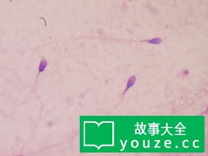 SCP2457是什么?