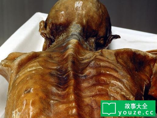 SCP2591是什么?