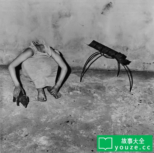 SCP2530是什么?