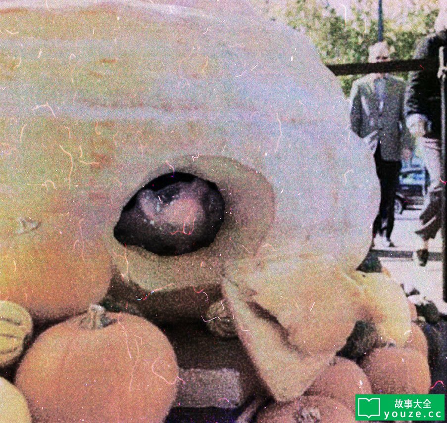 SCP2531ÊÇʲô?