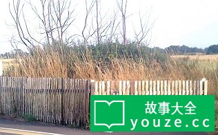 SCP2604是什么?