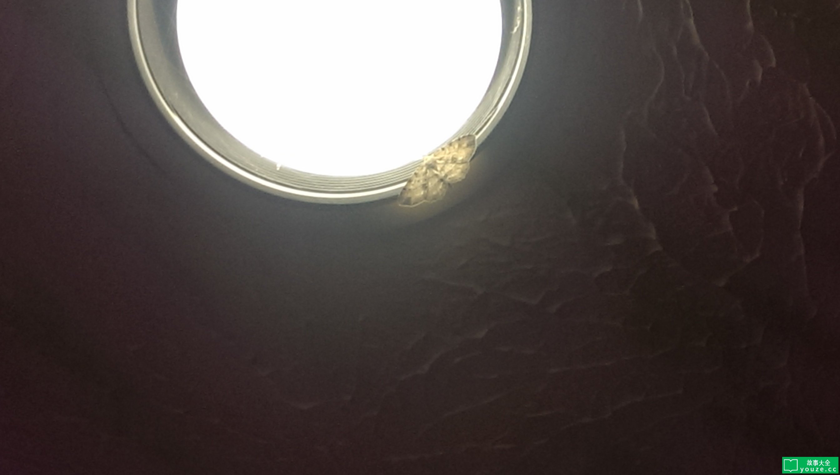 SCP2598是什么?
