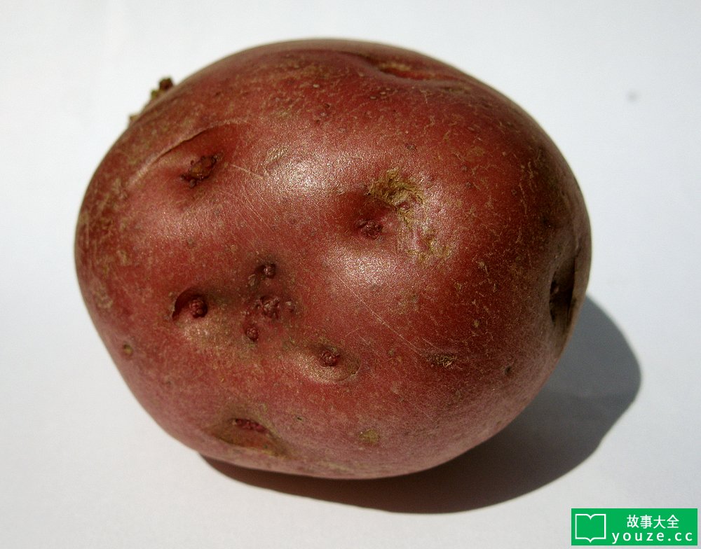 SCP2635是什么?