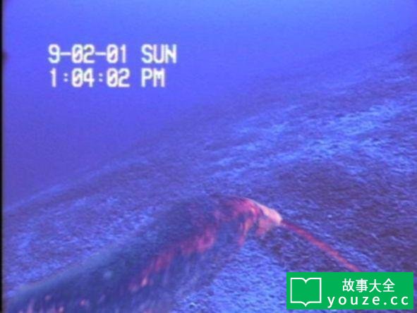 SCP2659是什么?