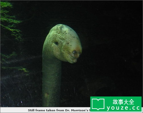 SCP2688是什么?