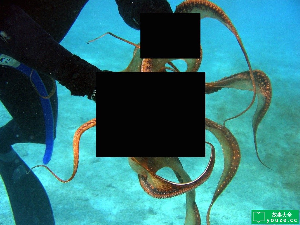 SCP2698ÊÇʲô?