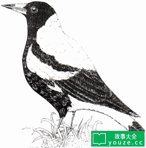 SCP2792是什么?