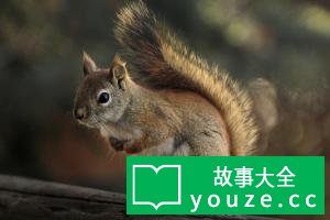 SCP2797是什么?