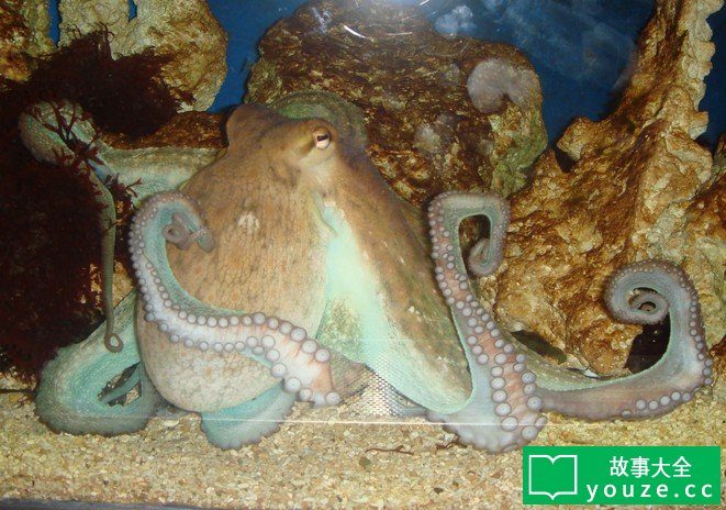 SCP2967是什么?