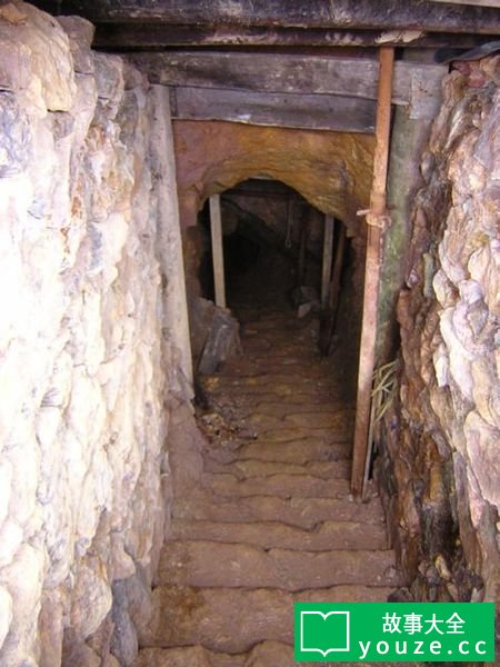 SCP2951是什么?