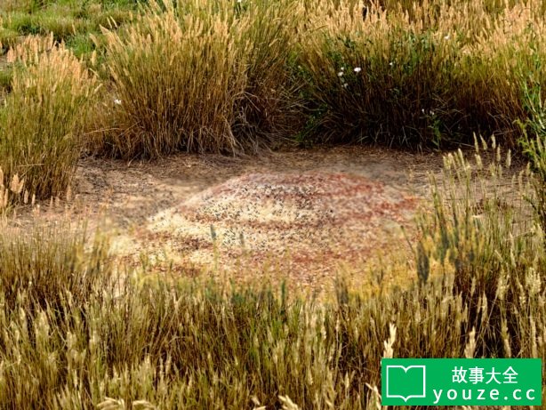 SCP2977是什么?