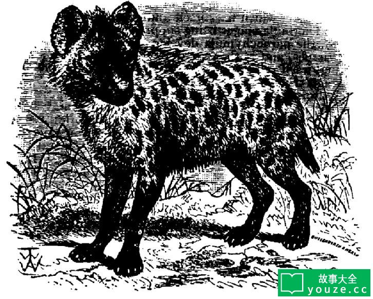 SCP2988是什么?