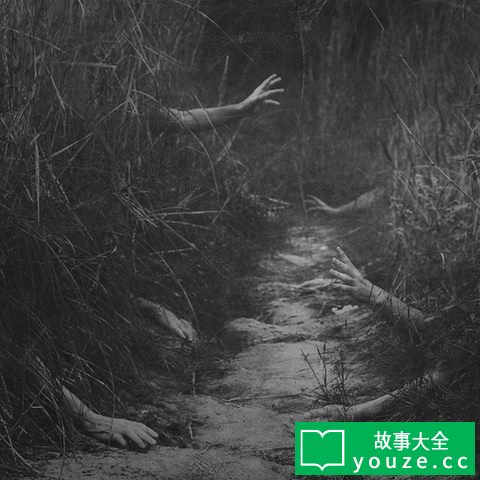 SCP2988是什么?
