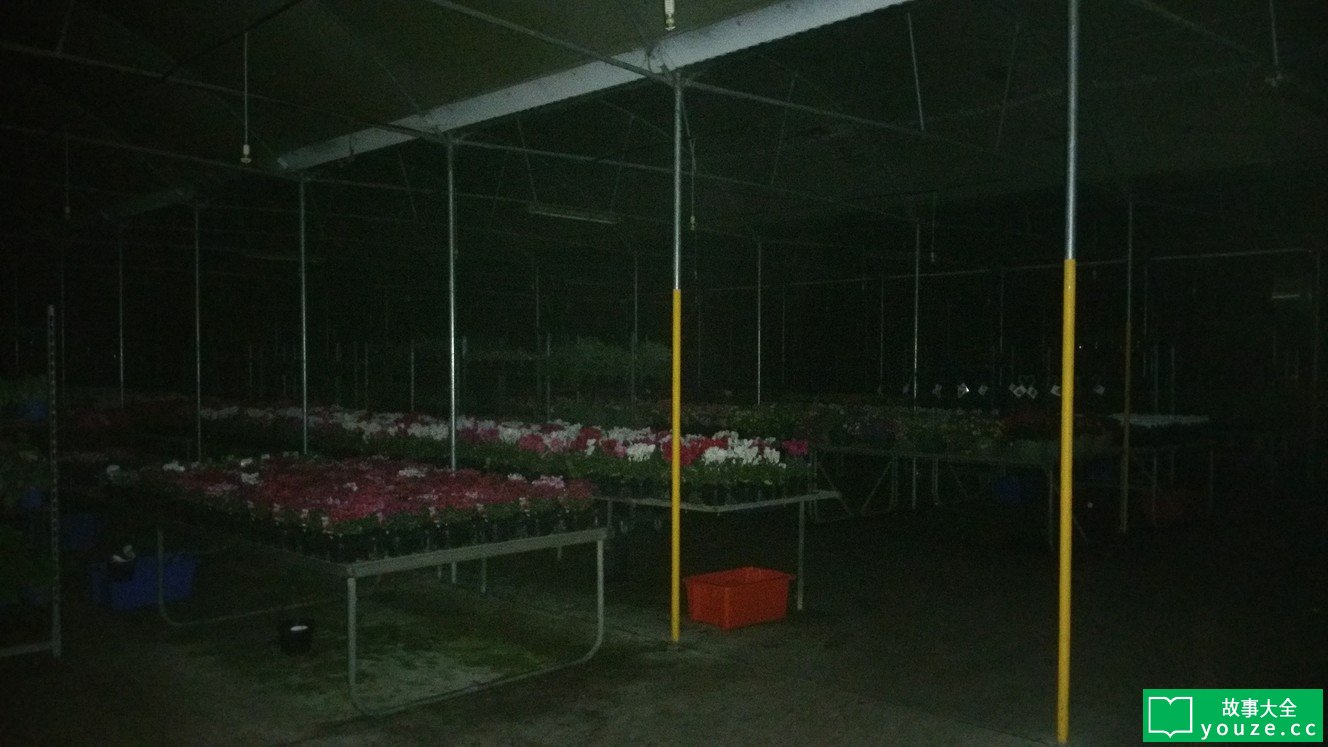 SCP3019是什么?