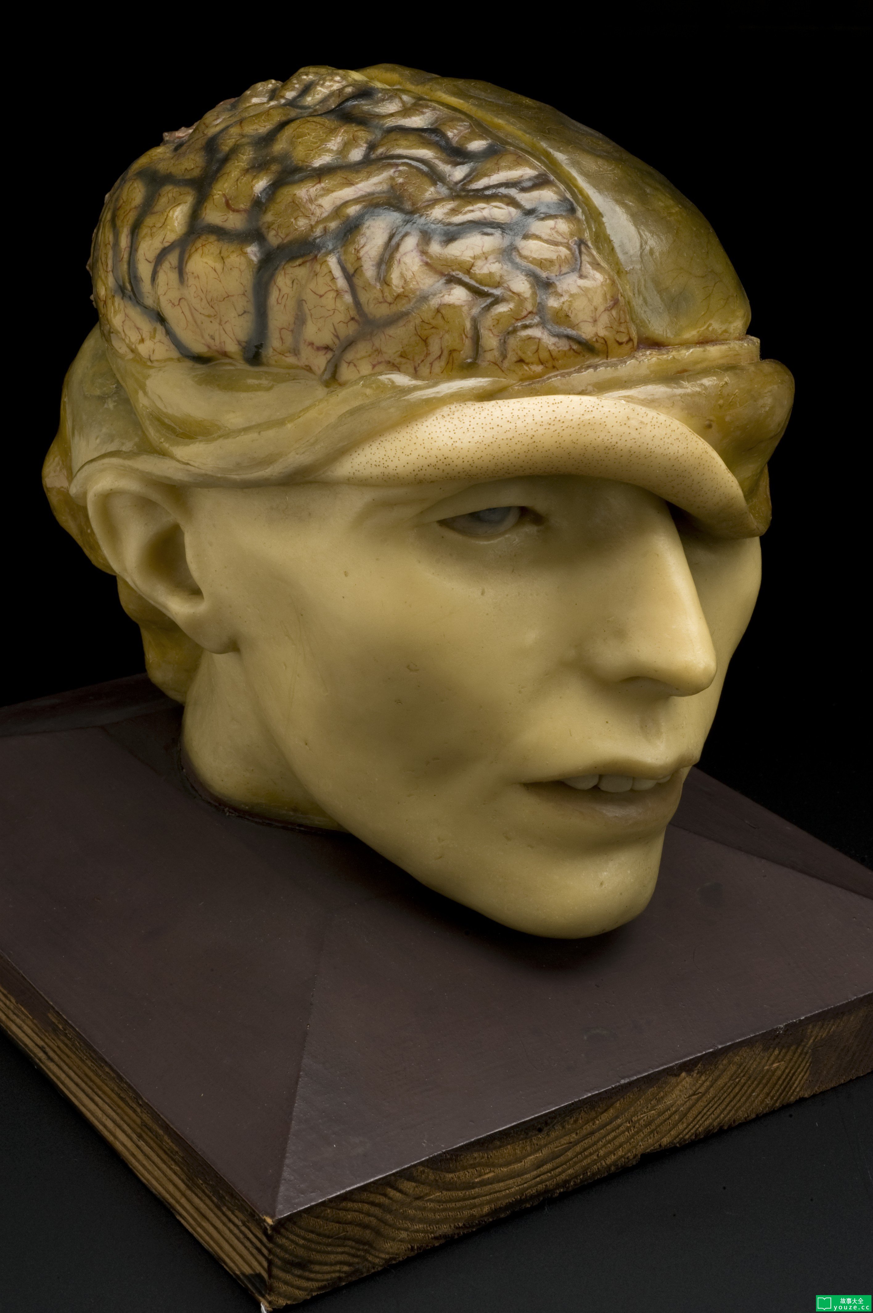 SCP3087ÊÇʲô?