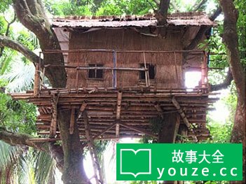 SCP3082是什么?