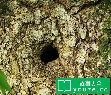 SCP3082是什么?