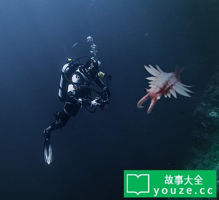SCP3057是什么?