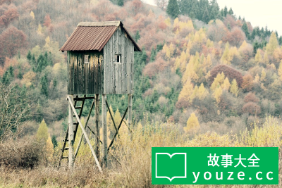 SCP3121是什么?