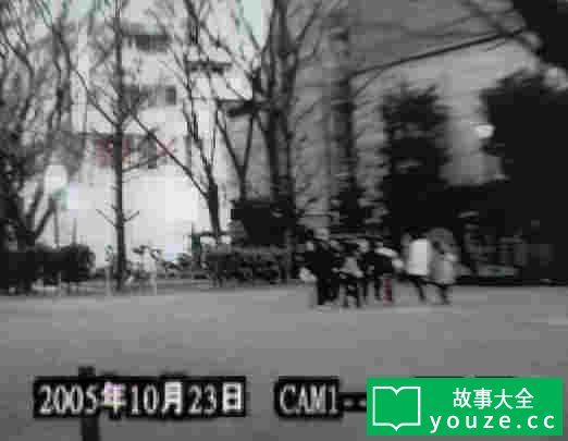SCP3121是什么?