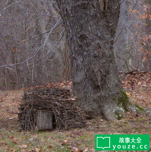 SCP3121是什么?
