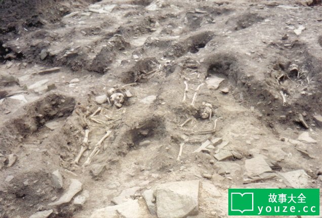 SCP3140是什么?