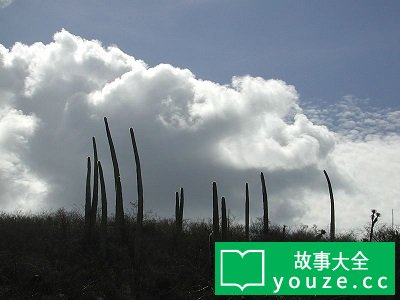 SCP3171是什么?