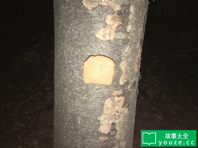 SCP3305是什么?