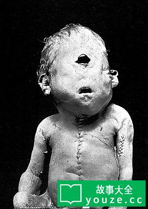 SCP3486是什么?