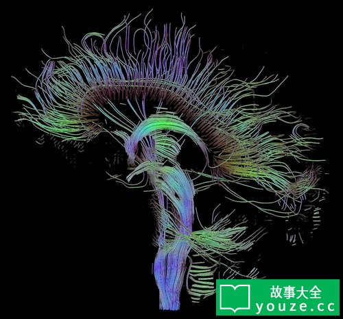SCP3483是什么?