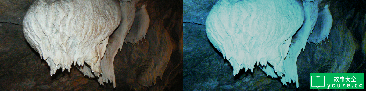 SCP3739是什么?