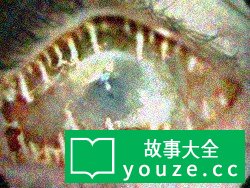 SCP3760是什么?