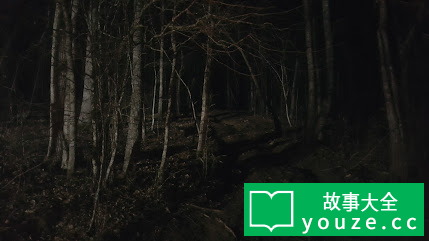 SCP3785是什么?