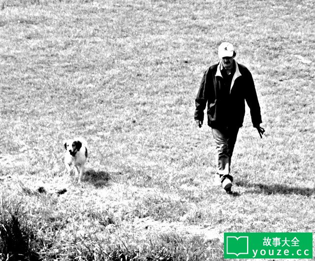 SCP3952是什么?