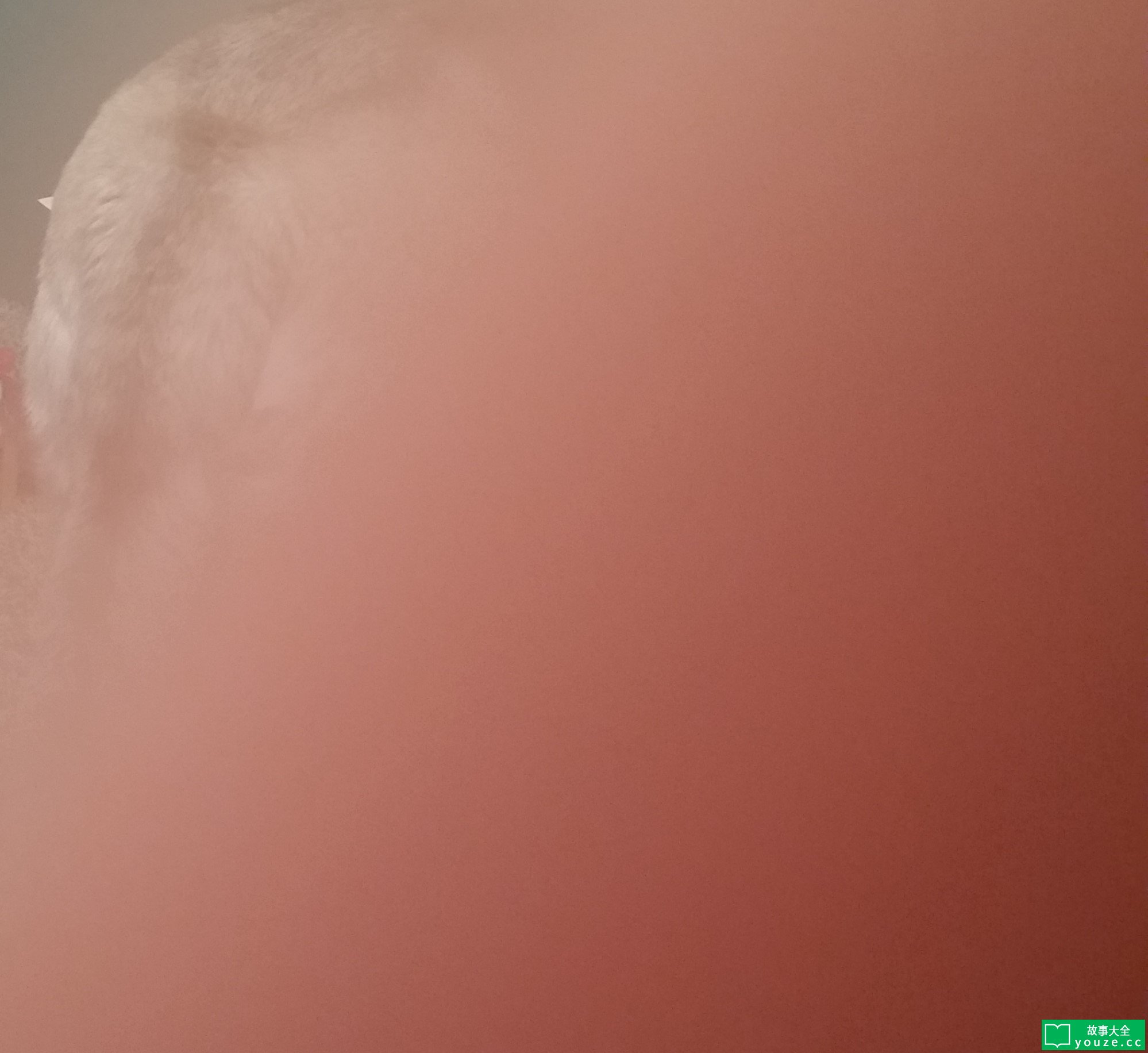 SCP4061是什么?