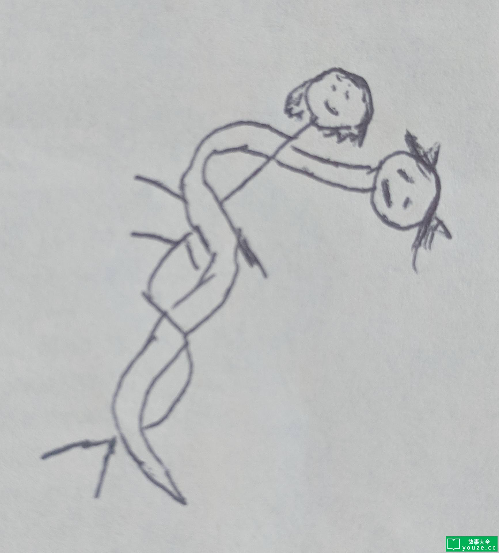 SCP4259ʲô?