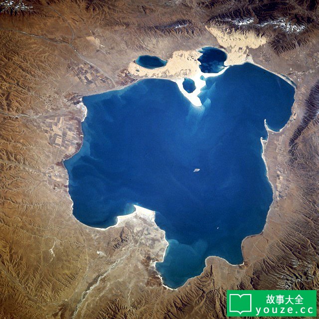 SCP4290是什么?