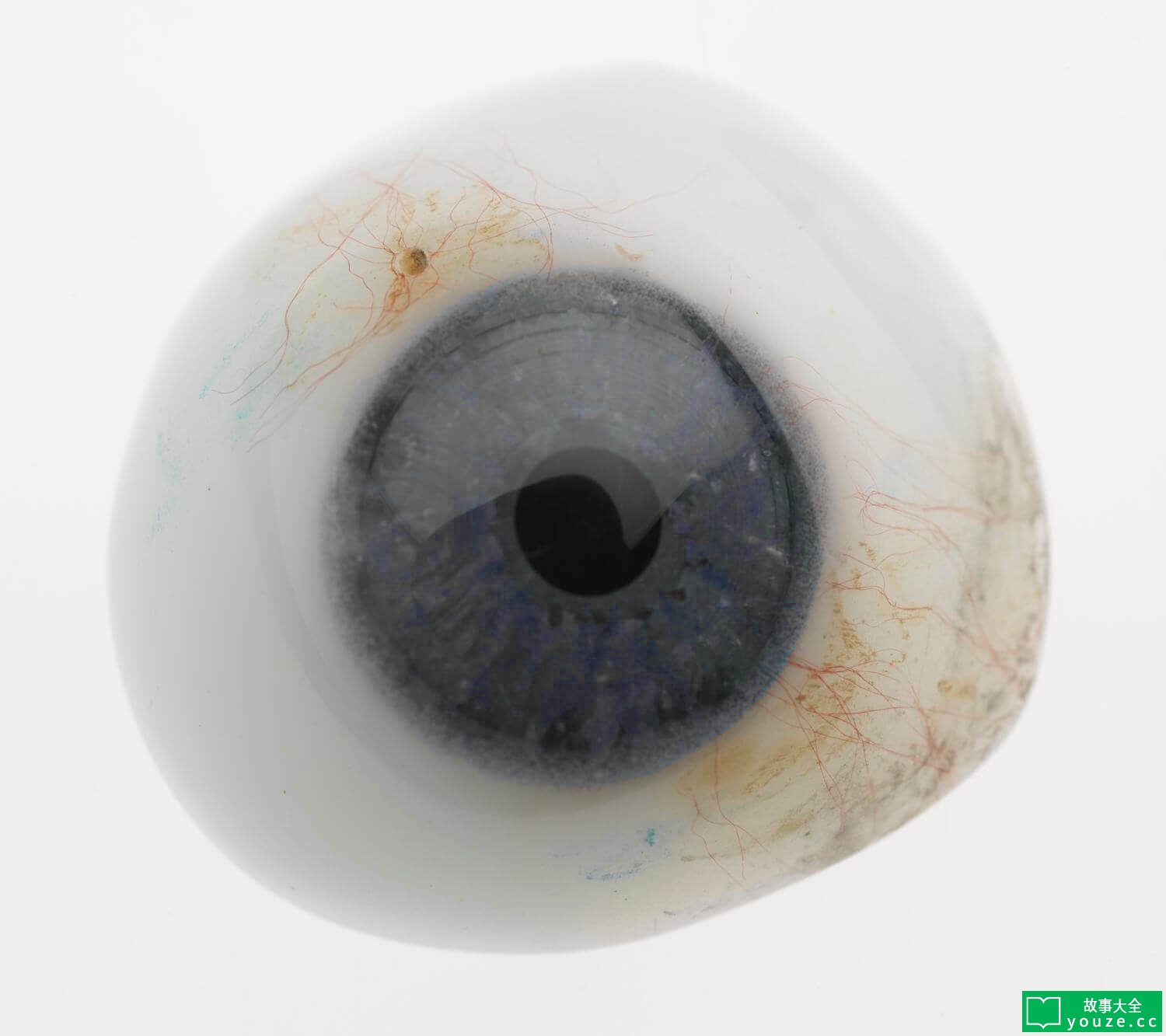 SCP4368是什么?