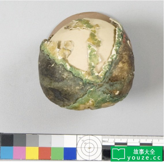 SCP4461是什么?