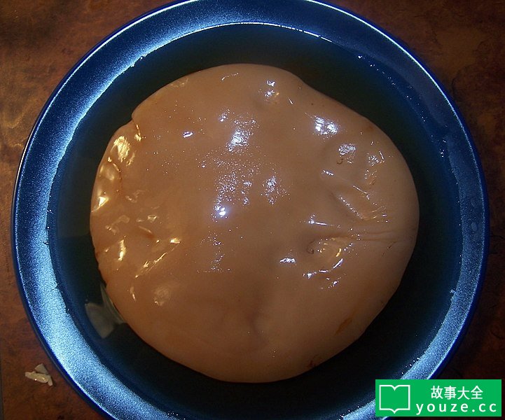 SCP4589是什么?