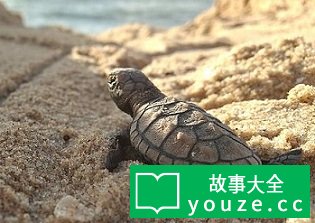 SCP4644是什么?