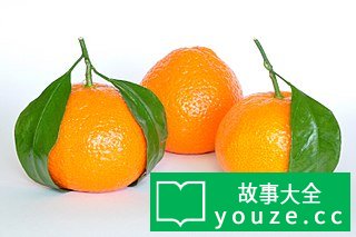 SCP4804是什么?
