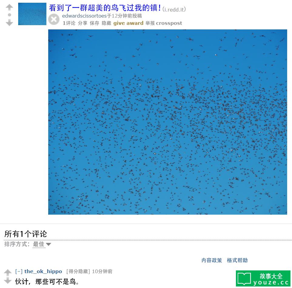 SCP4991是什么?