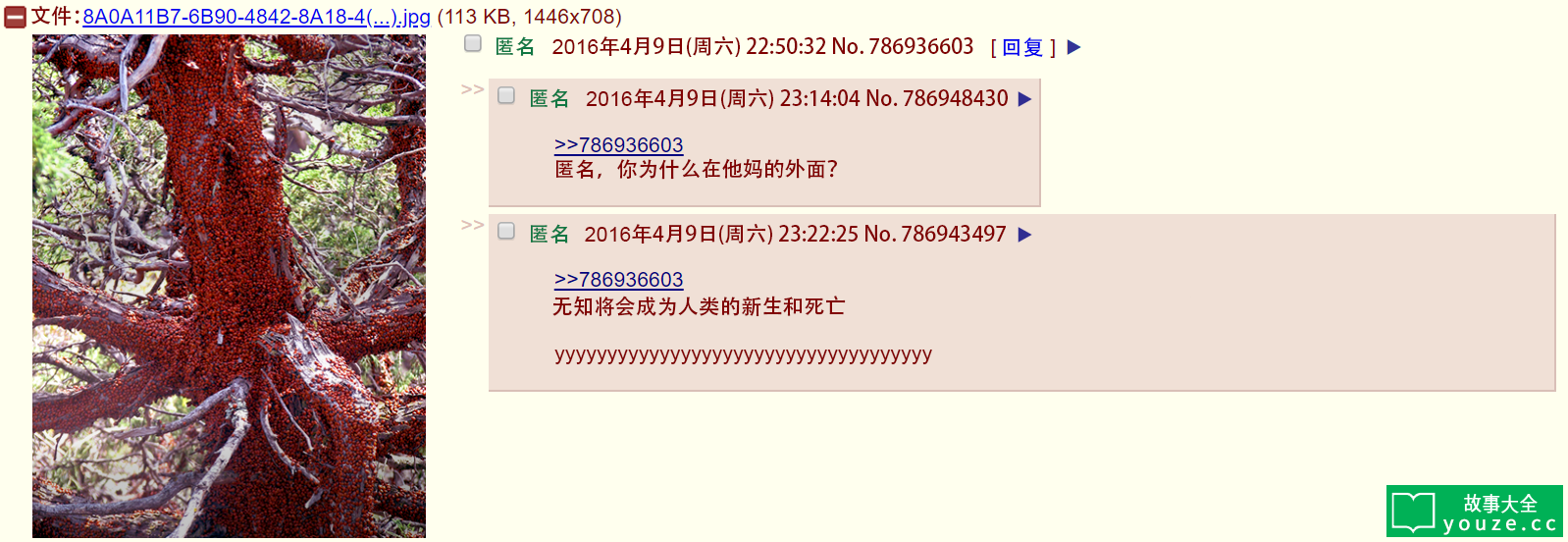 SCP4991是什么?