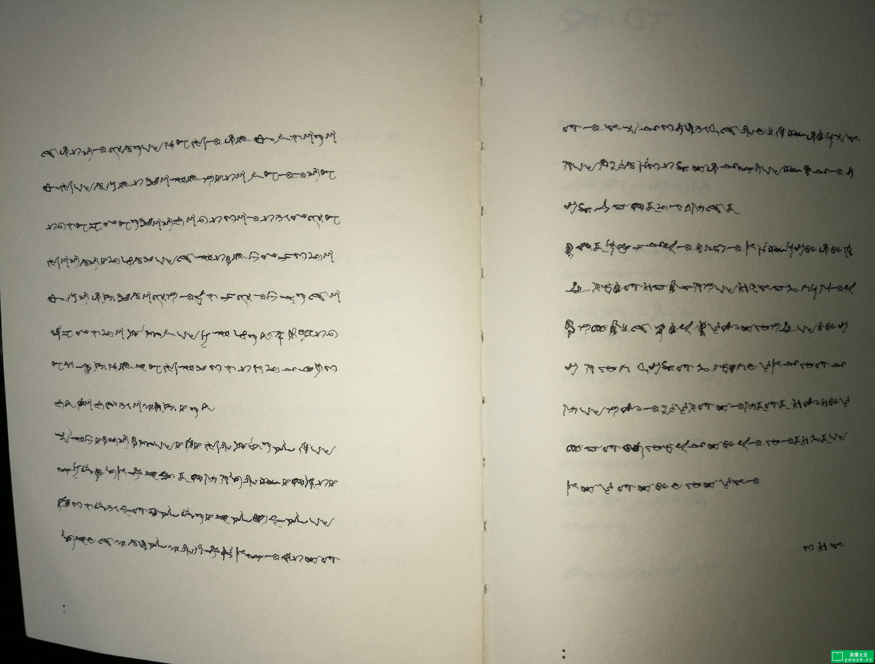 SCPCN141是什么?