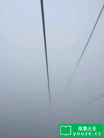 SCPCN448是什么?