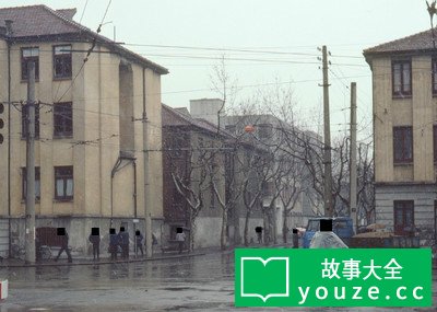 SCPCN481是什么?