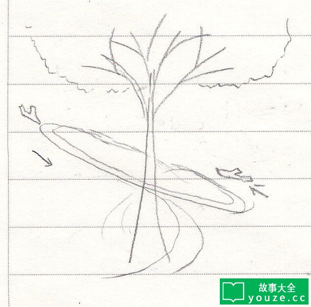 SCPCN797是什么?