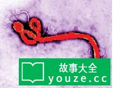 SCPCN822是什么?