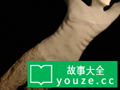SCPCN1049是什么?